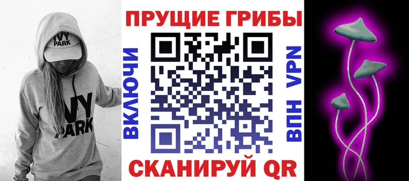 наркота  Берёзовка  мега зеркало  Псилоцибиновые грибы Psilocybe 